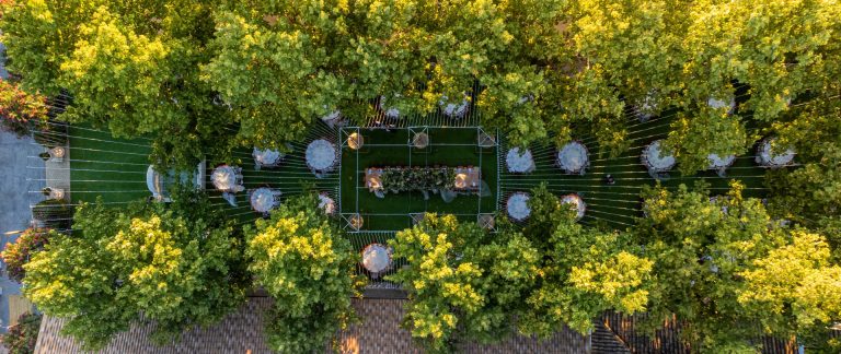 Una boda de ensueño en la Finca Santa Clotilde: elegancia, luz y alma andaluza - Imagen 1