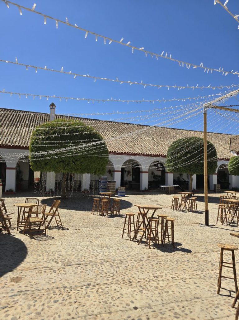 Boda – Bujalmoro – 2 hermanas - Imagen 1