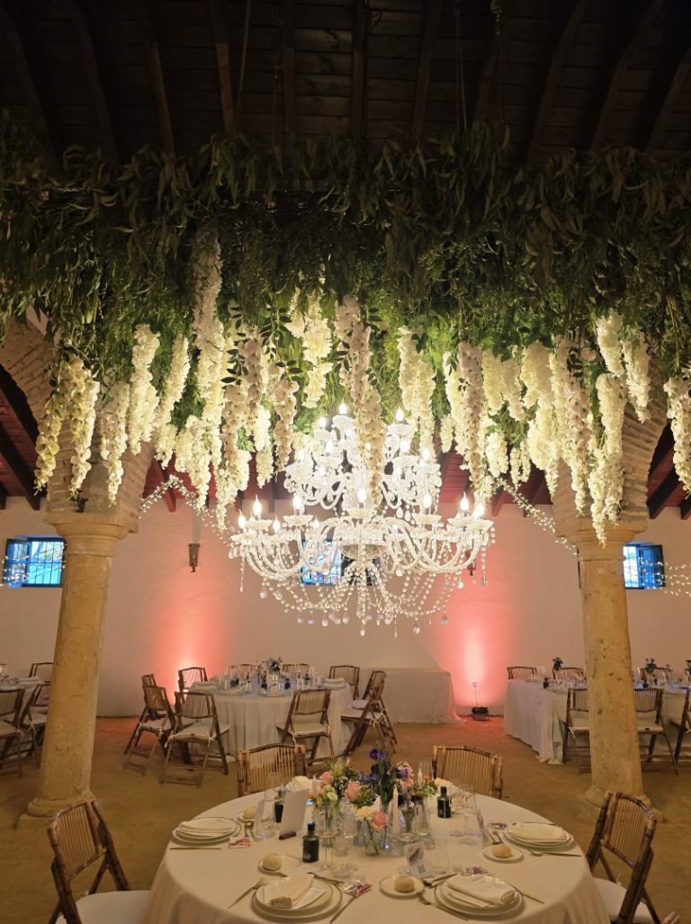 Boda – Bujalmoro – Dos Hermanas - Imagen 2