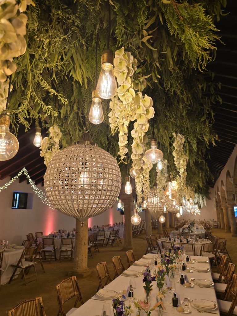 Boda – Bujalmoro – Dos Hermanas - Imagen 7