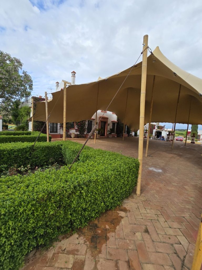 Colaboración continuada en el Festival Beste Zangers – Finca Ornam, España - Imagen 3